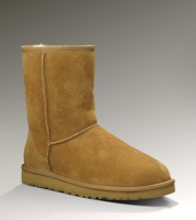 Ugg Classic Kratke Cizmy